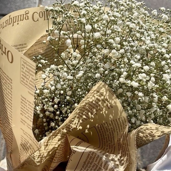 Meet your Posher, Brylee - Picture 1 of 1